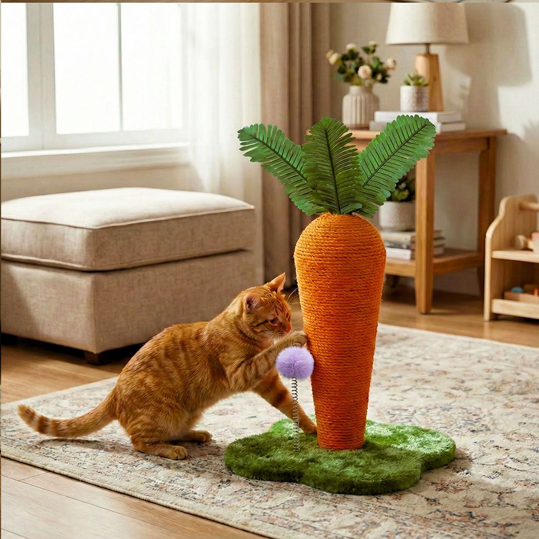 Carrot Cat Scratching Post with Plush Ball Toy - Orange Green - Rivercity House & Home Co. (ABN 18 642 972 209) - Affordable Modern Furniture Australia