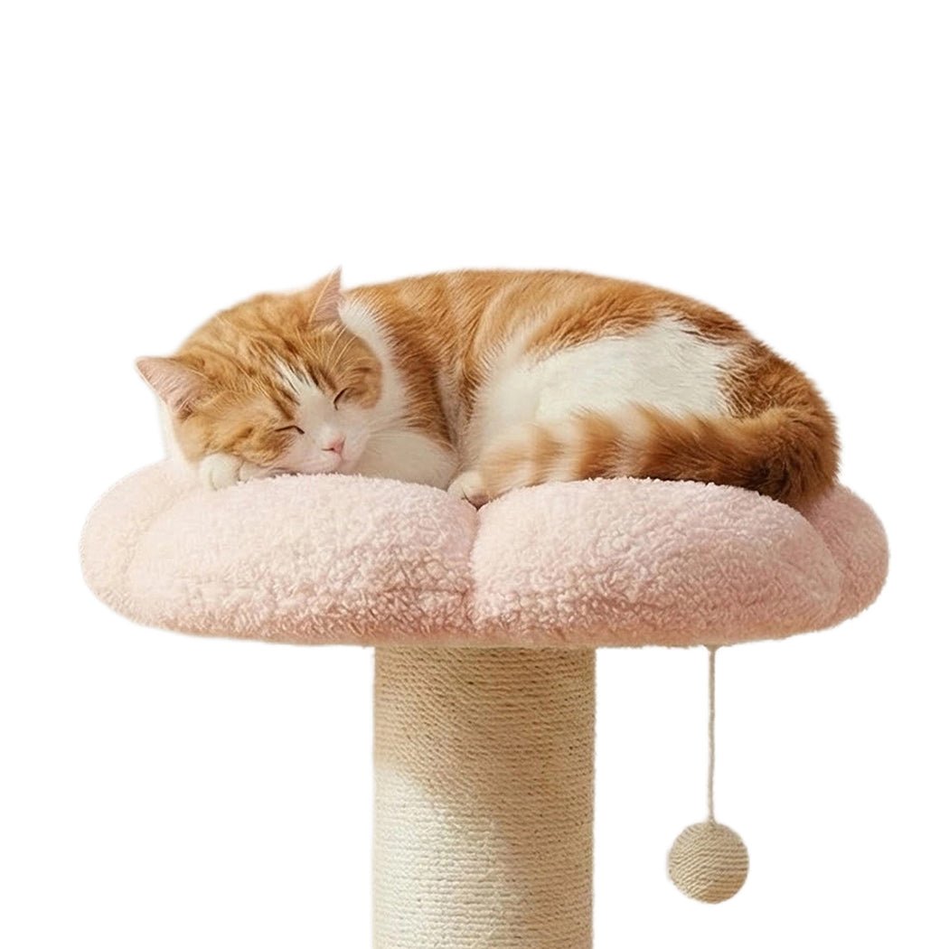 Cat Scratching Post and Tree Tower 61.5cm with Flower Platform - Pink or Green - Rivercity House & Home Co. (ABN 18 642 972 209) - Affordable Modern Furniture Australia