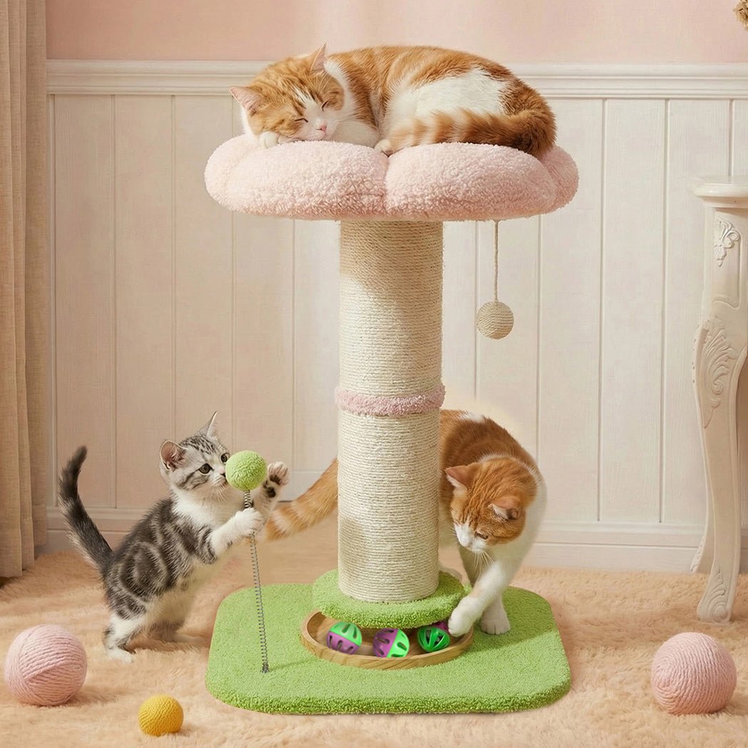 Cat Scratching Post and Tree Tower 61.5cm with Flower Platform - Pink or Green - Rivercity House & Home Co. (ABN 18 642 972 209) - Affordable Modern Furniture Australia