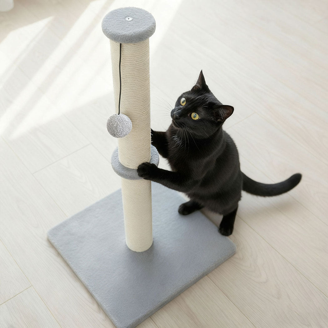 Cat Scratching Post with Plush Toy - Light Grey - Rivercity House & Home Co. (ABN 18 642 972 209) - Affordable Modern Furniture Australia