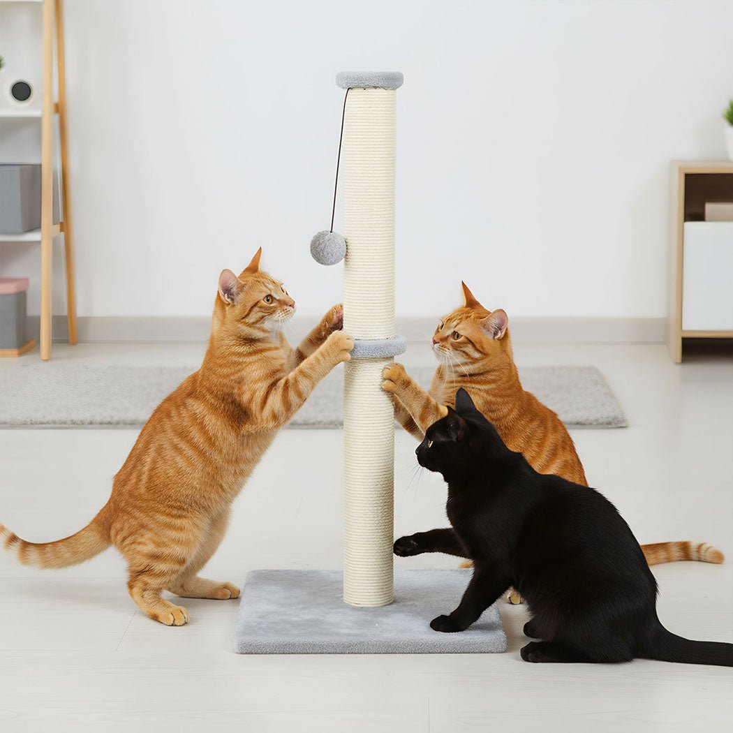 Cat Scratching Post with Plush Toy - Light Grey - Rivercity House & Home Co. (ABN 18 642 972 209) - Affordable Modern Furniture Australia