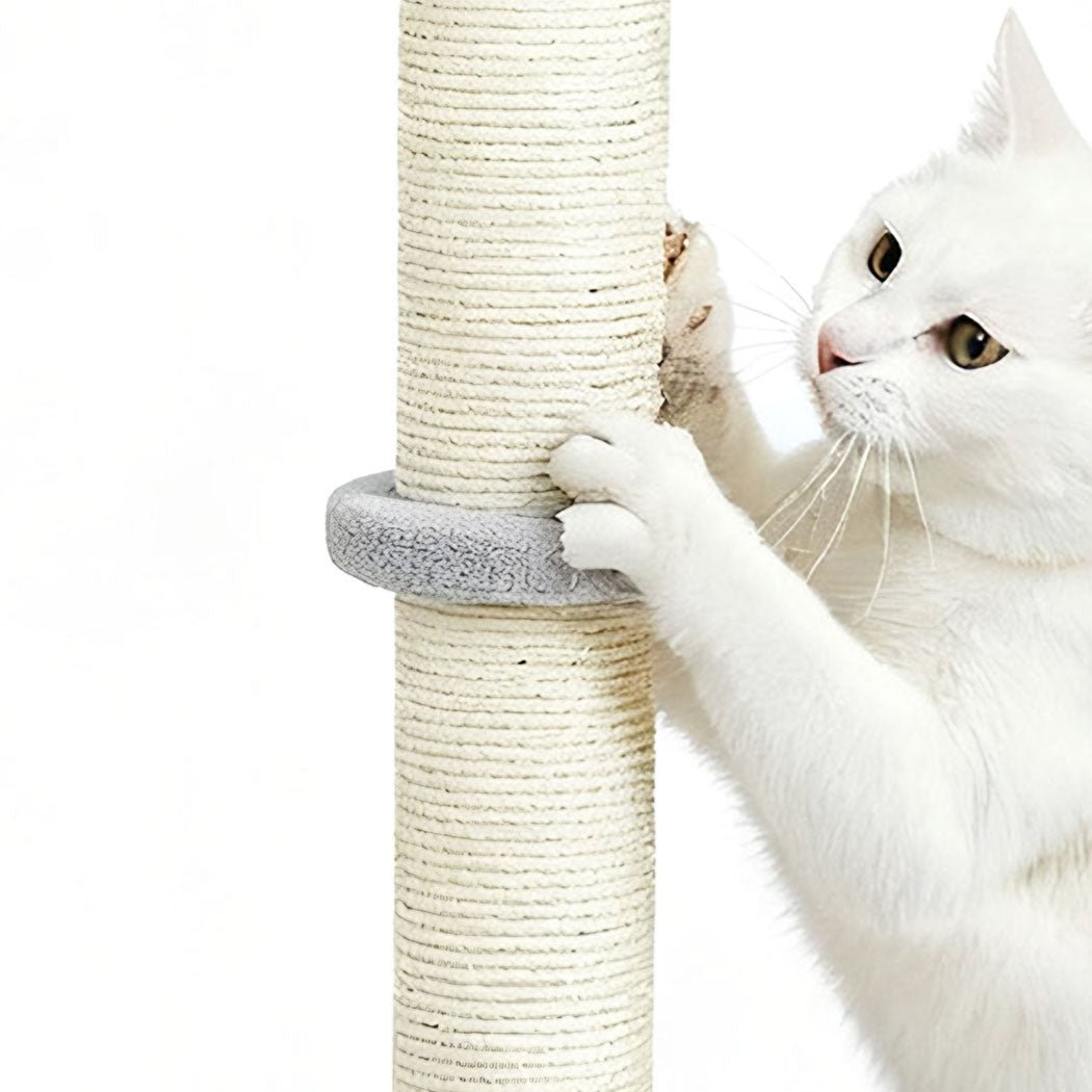 Cat Scratching Post with Plush Toy - Light Grey - Rivercity House & Home Co. (ABN 18 642 972 209) - Affordable Modern Furniture Australia