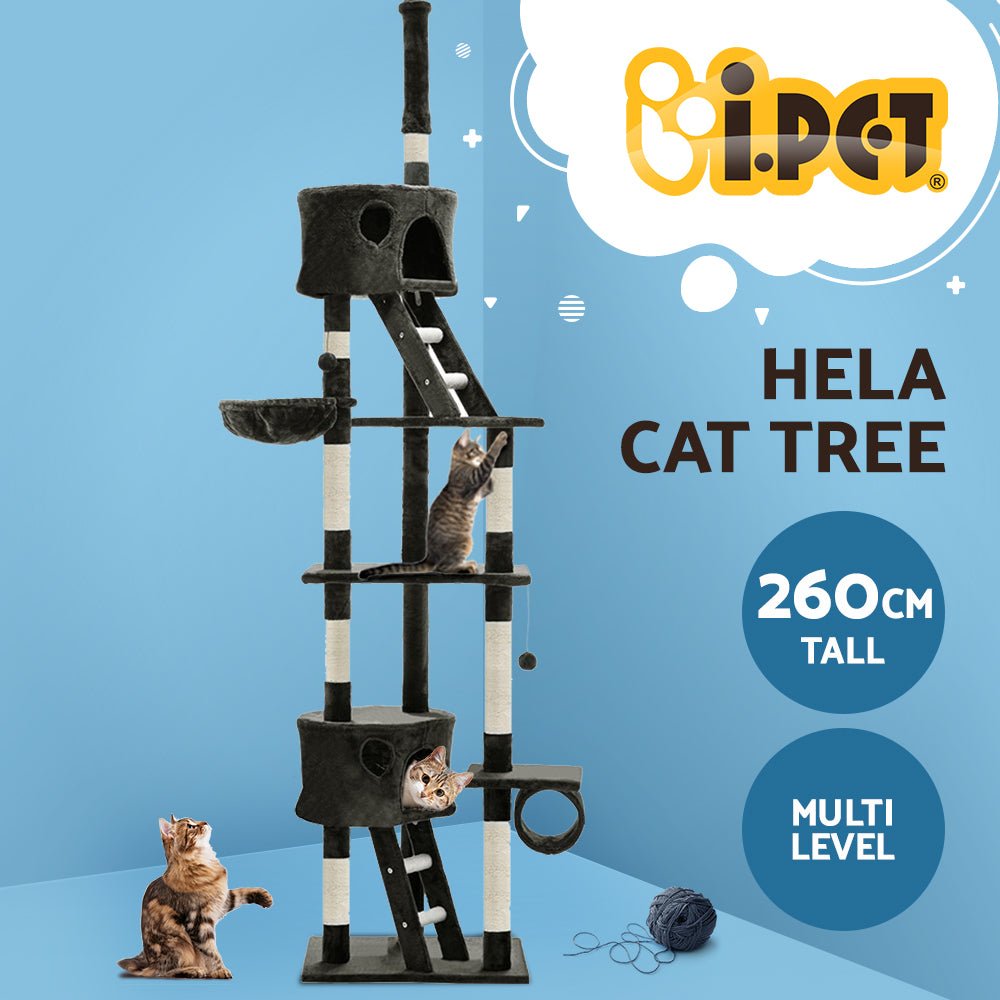 260cm cat tree hotsell