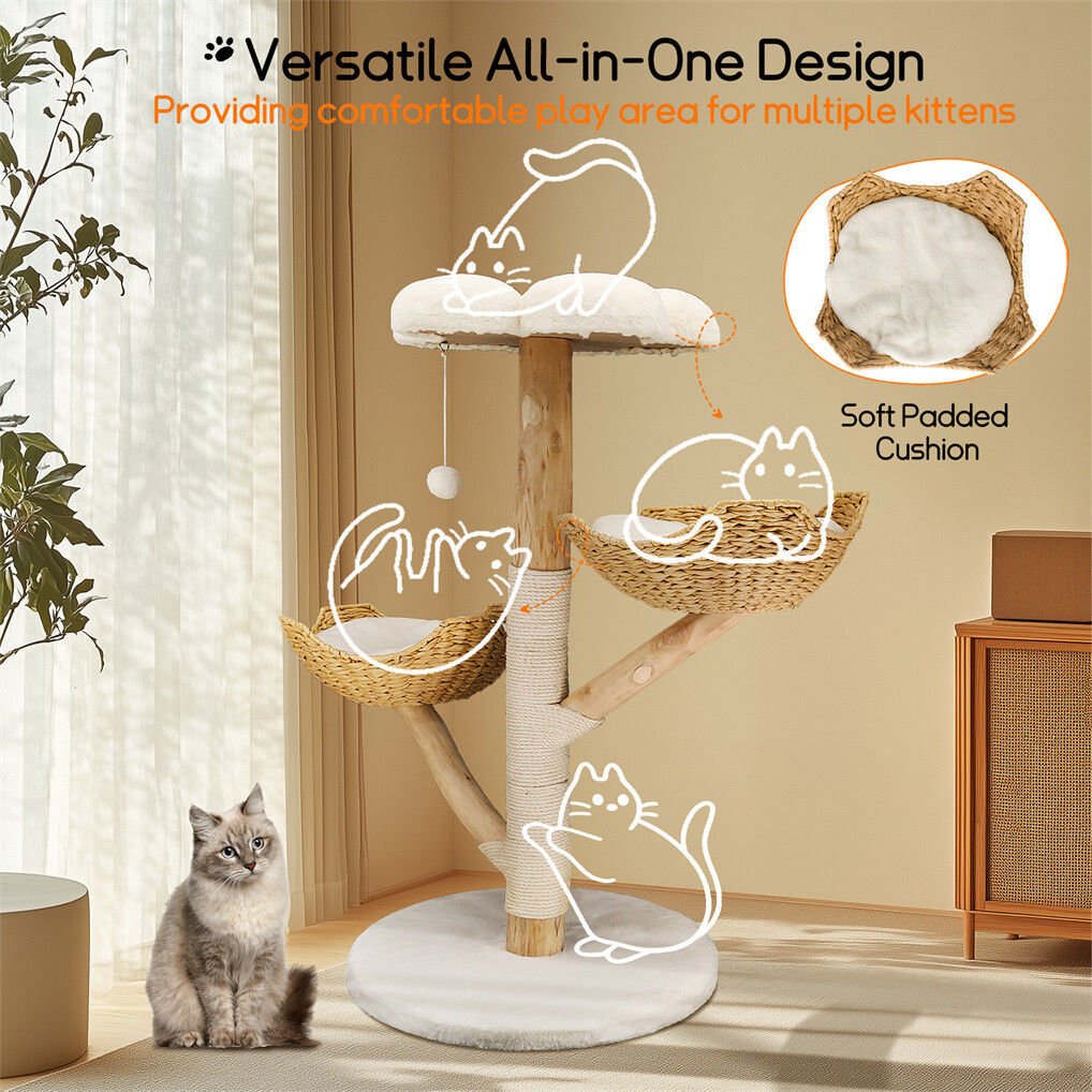 Cat Tree Scratcher with Plush Cushion, Sisal Posts & Willow Wood Basket - Pet Care > Cat Supplies > Cat Scratching Posts - Rivercity House & Home Co. (ABN 18 642 972 209) - Affordable Modern Furniture Australia
