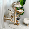 Cat Tree Scratcher with Plush Cushion, Sisal Posts & Willow Wood Basket