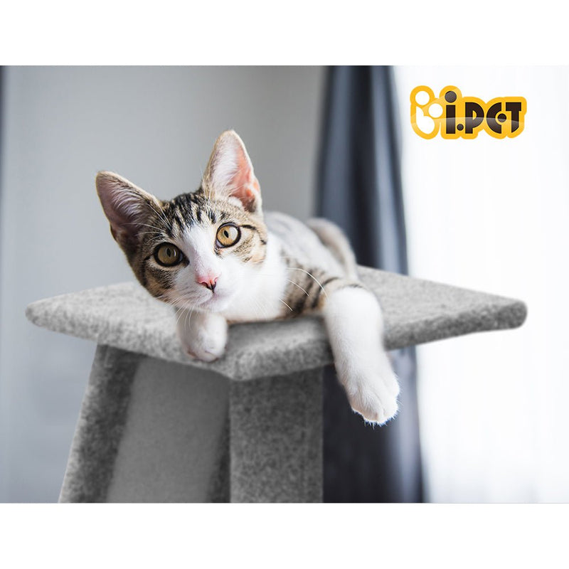 Cat Tree Trees Scratching Post Scratcher Tower Condo House Climb 82cm - Pet Care > Cat Supplies - Rivercity House & Home Co. (ABN 18 642 972 209) - Affordable Modern Furniture Australia