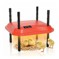 Chick Brooder Heating Plate Adjustable Height Chicken Heater - Red