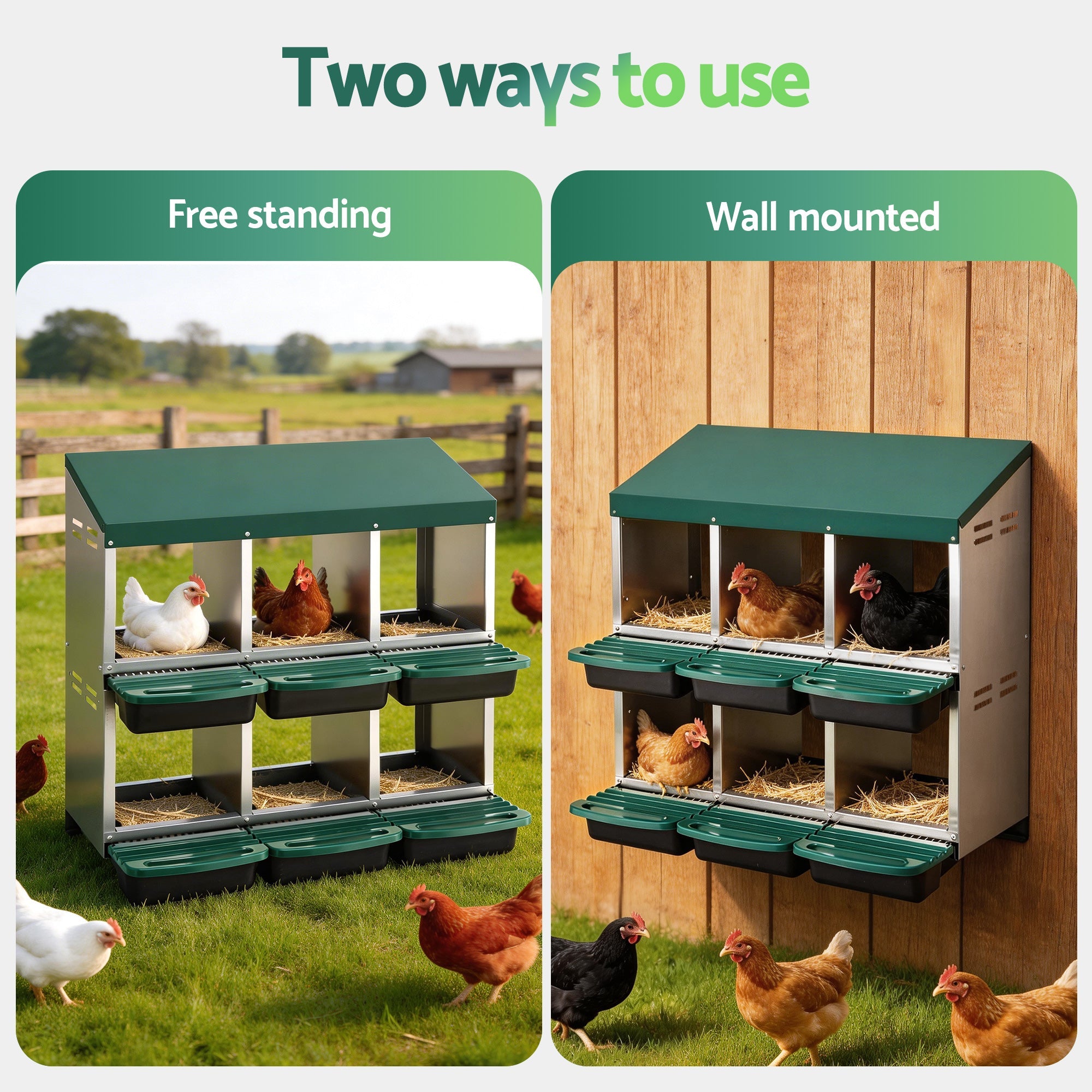 Chicken Nesting Box Roll Away Metal Nesting Box Wall Mounted 6 Holes Green - Pet Care > Coops & Hutches > Small Animal Habitats & Cages - Rivercity House & Home Co. (ABN 18 642 972 209) - Affordable Modern Furniture Australia