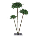 3-in-1 LED Christmas Palm Tree Set 1.2m, 1.5m, 1.8m with Warm Lights - Green