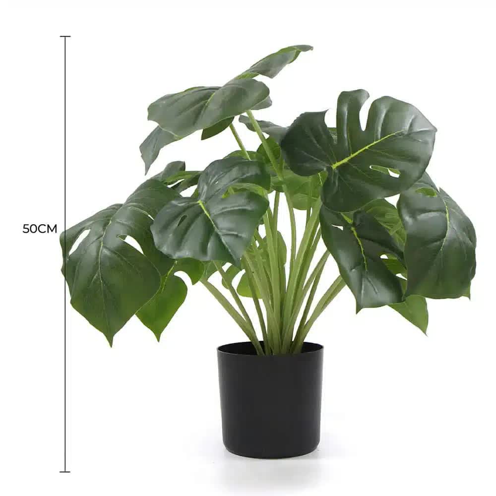 Dense Potted Artificial Monstera Deliciosa Plant 50cm with Real Touch Leaves - Green - Home & Garden > Artificial Plants > Artificial Trees - Rivercity House & Home Co. (ABN 18 642 972 209) - Affordable Modern Furniture Australia