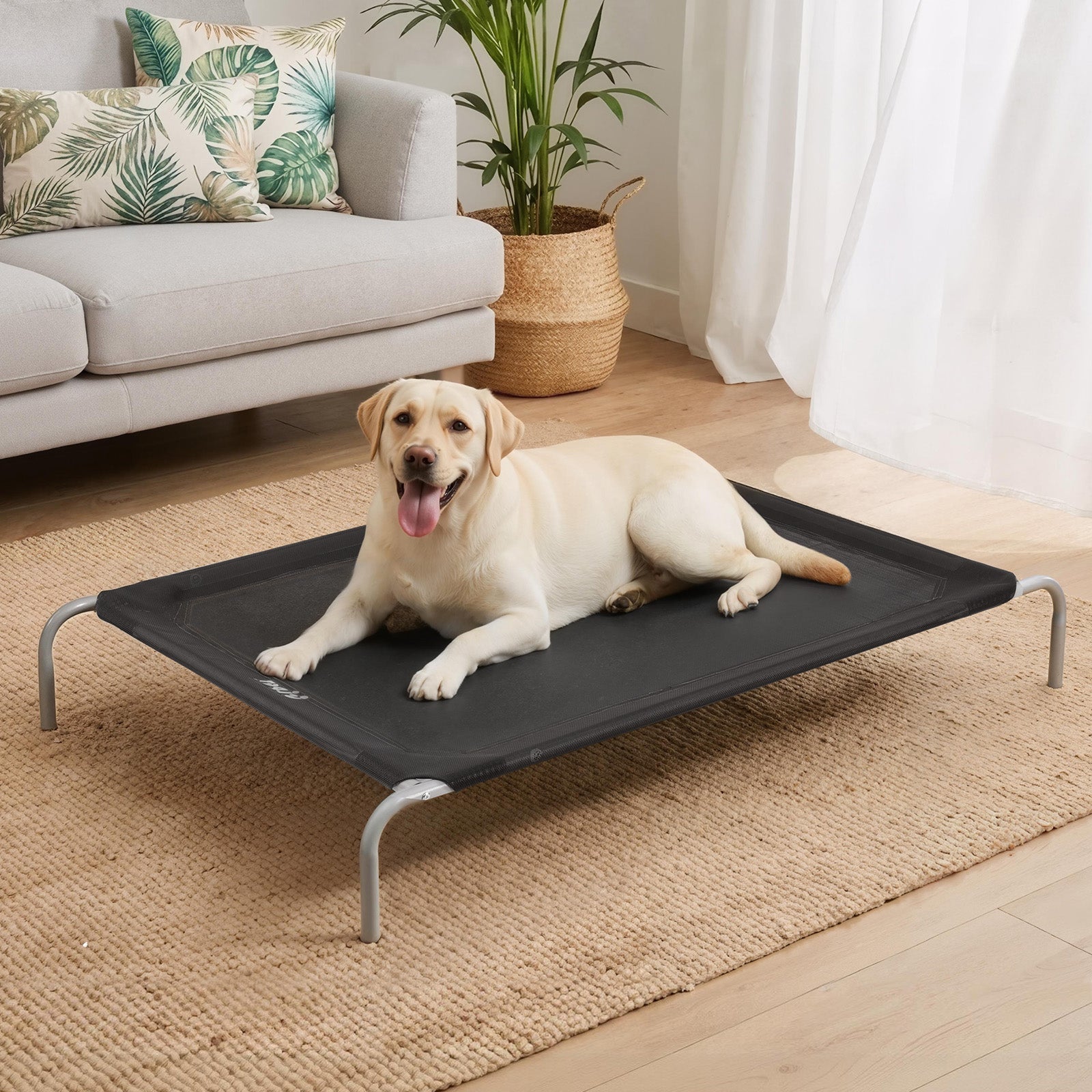 Dog Bed Elevated Trampoline Durable Raised Heavy Duty Large Dogs 90x137cm Black - Pet Care > Dog Supplies > Dog Beds - Rivercity House & Home Co. (ABN 18 642 972 209) - Affordable Modern Furniture Australia