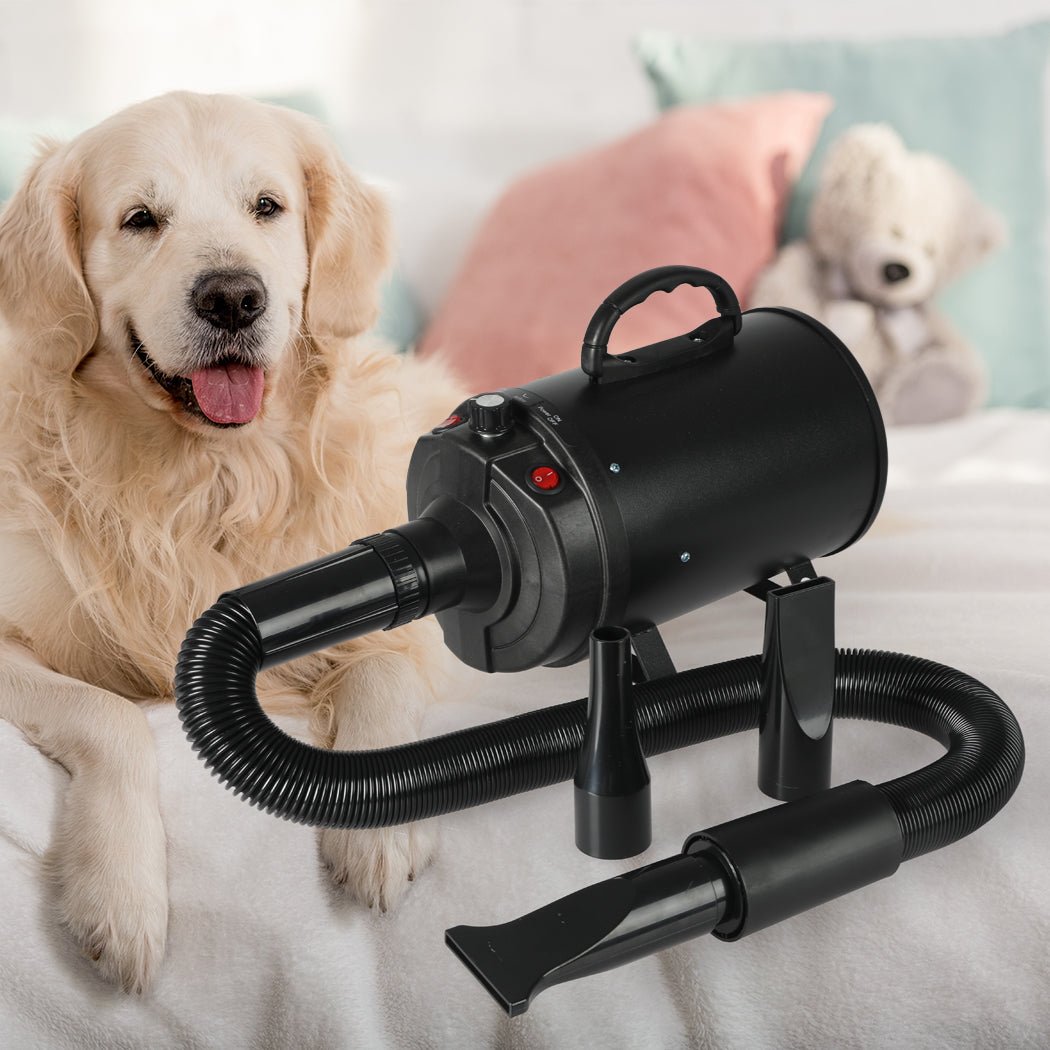 Dog Cat Pet Hair Dryer Grooming Blow Dryer with Nozzles - Black - Rivercity House & Home Co. (ABN 18 642 972 209) - Affordable Modern Furniture Australia