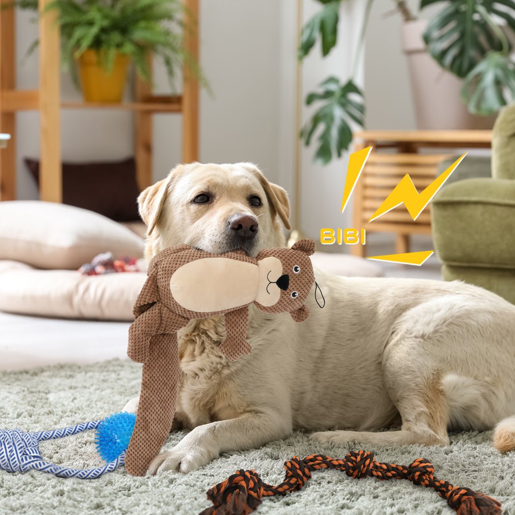 Dog Chew Toys Squeaky Puppy Pet Set - Multi - Color - Rivercity House & Home Co. (ABN 18 642 972 209) - Affordable Modern Furniture Australia