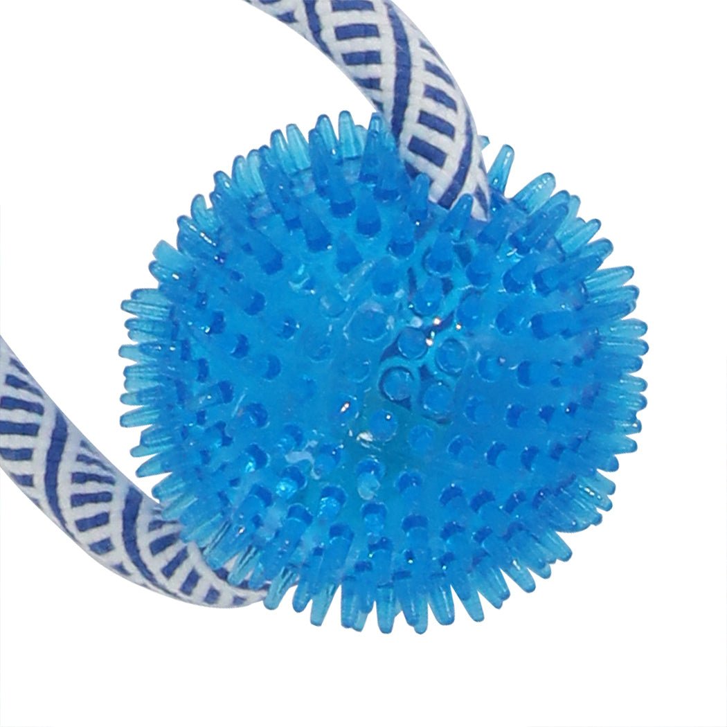 Dog Chew Toys Squeaky Puppy Pet Set - Multi - Color - Rivercity House & Home Co. (ABN 18 642 972 209) - Affordable Modern Furniture Australia