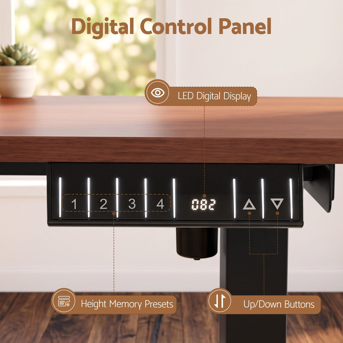 Electric Height Adjustable Standing Desk 120cm with Digital Control Panel - Walnut Black - Furniture > Office > Desks - Rivercity House & Home Co. (ABN 18 642 972 209) - Affordable Modern Furniture Australia