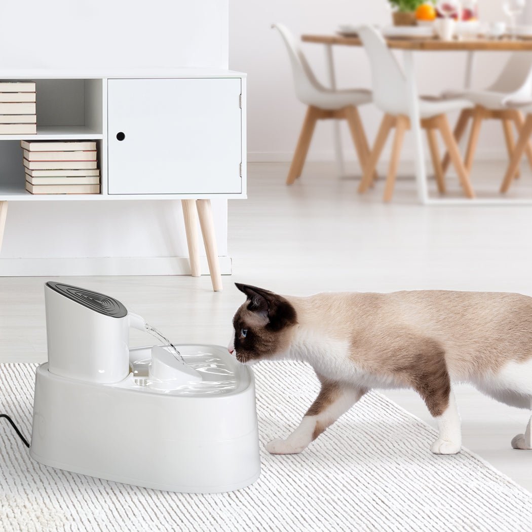 Electric Pet Water Fountain with 4 - Stage Filtration - White - Rivercity House & Home Co. (ABN 18 642 972 209) - Affordable Modern Furniture Australia