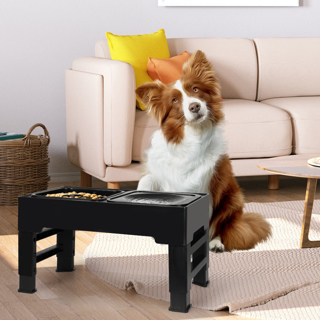 Elevated Adjustable 4 - Height Dog Feeder with Slow Feed Bowls - Black - Rivercity House & Home Co. (ABN 18 642 972 209) - Affordable Modern Furniture Australia