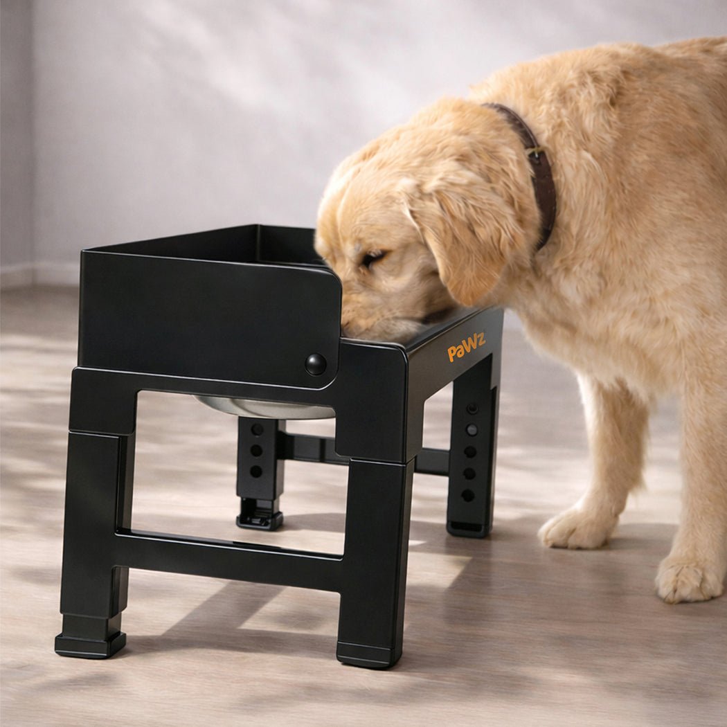 Elevated Dog Bowls 6 - Height Adjustable Raised Feeder with Spill Guard Large - Black - Rivercity House & Home Co. (ABN 18 642 972 209) - Affordable Modern Furniture Australia