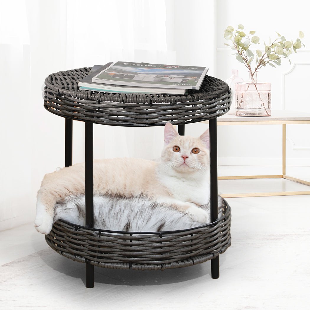 Elevated Rattan Pet Bed with Cushion - Natural - Rivercity House & Home Co. (ABN 18 642 972 209) - Affordable Modern Furniture Australia