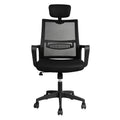 Ergonomic Mesh Office Gaming Executive Chair with Lumbar Support - Black