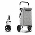 Foldable Aluminium Shopping Trolley 45L with Insulated Bag and Waterproof Oxford Cloth - Grey