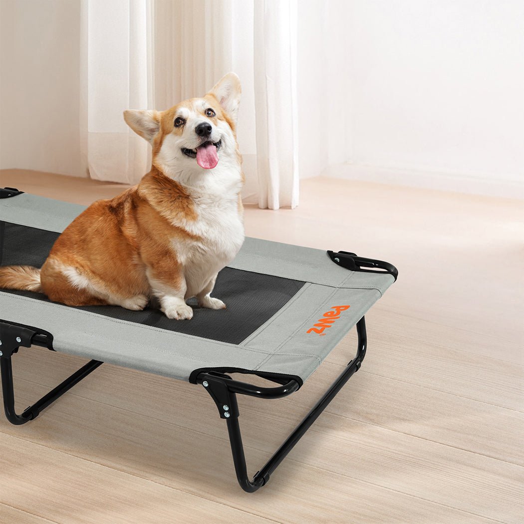 Foldable Elevated Dog Bed Medium Size - Grey - Rivercity House & Home Co. (ABN 18 642 972 209) - Affordable Modern Furniture Australia