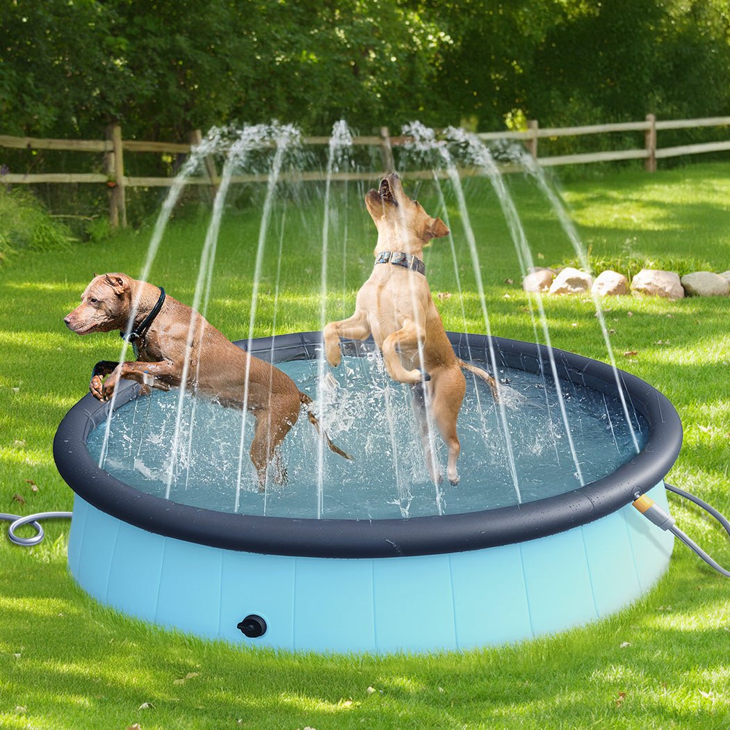 Folding Dog Swimming Pool with Sprinkler - Blue - Rivercity House & Home Co. (ABN 18 642 972 209) - Affordable Modern Furniture Australia