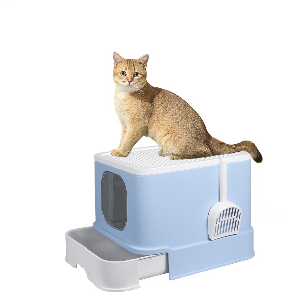 Fully Enclosed Cat Litter Box with Double Door and Ventilation - Blue - Rivercity House & Home Co. (ABN 18 642 972 209) - Affordable Modern Furniture Australia