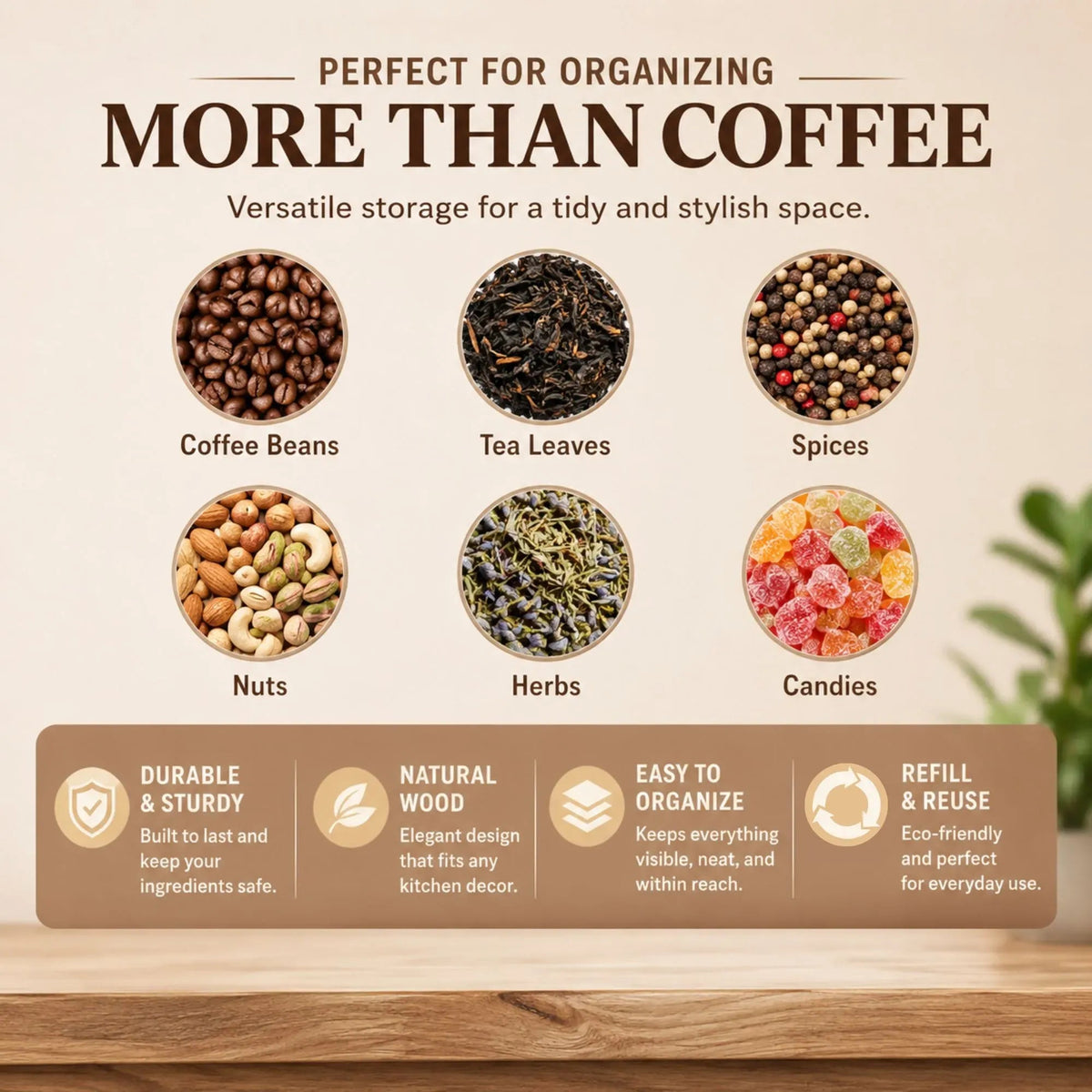 Glass Coffee Bean Storage Tubes 12 Pack with Wooden Stand - Transparent - Home & Garden > Kitchenware > Food Storage - Rivercity House & Home Co. (ABN 18 642 972 209) - Affordable Modern Furniture Australia