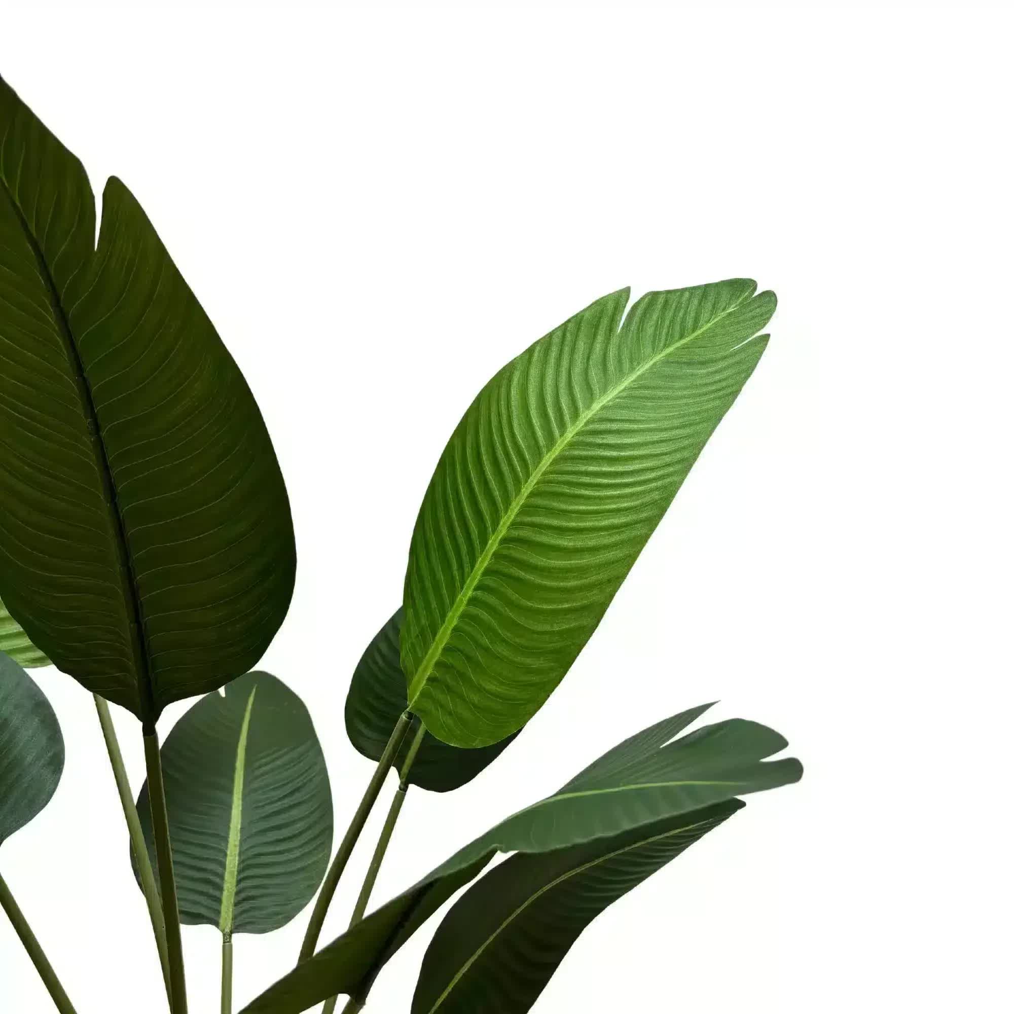 Grand Artificial Potted Travellers Palm (Banana Palm Tree) 120cm - Home & Garden > Artificial Plants > Artificial Trees - Rivercity House & Home Co. (ABN 18 642 972 209) - Affordable Modern Furniture Australia