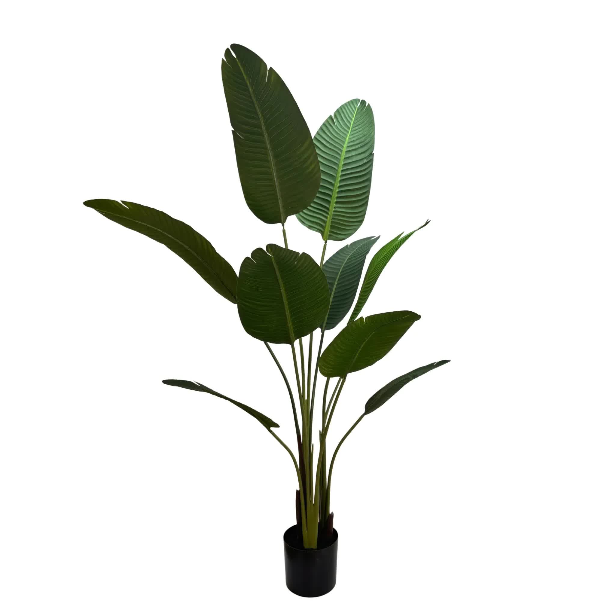 Grand Artificial Potted Travellers Palm (Banana Palm Tree) 120cm - Home & Garden > Artificial Plants > Artificial Trees - Rivercity House & Home Co. (ABN 18 642 972 209) - Affordable Modern Furniture Australia