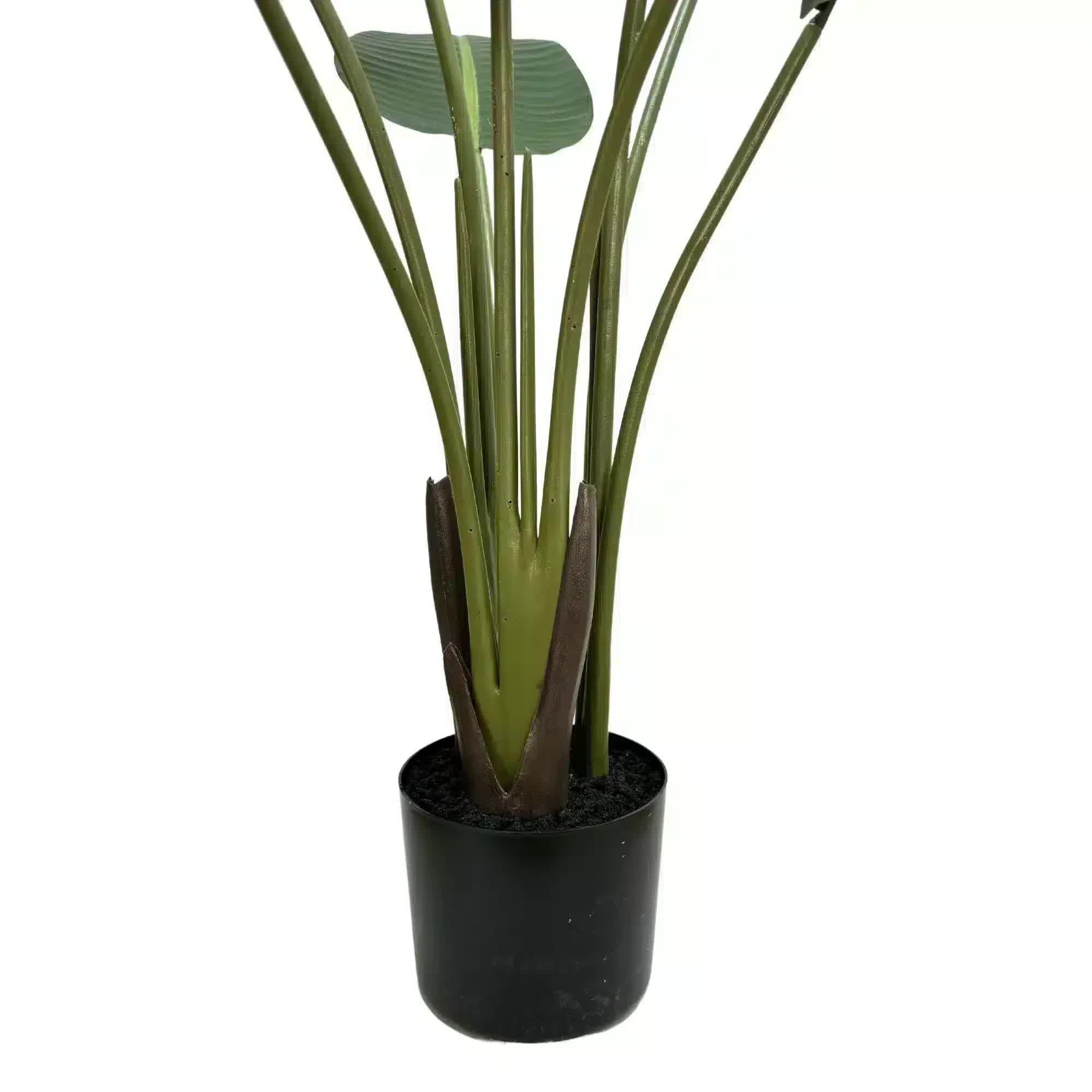 Grand Artificial Potted Travellers Palm (Banana Palm Tree) 120cm - Home & Garden > Artificial Plants > Artificial Trees - Rivercity House & Home Co. (ABN 18 642 972 209) - Affordable Modern Furniture Australia