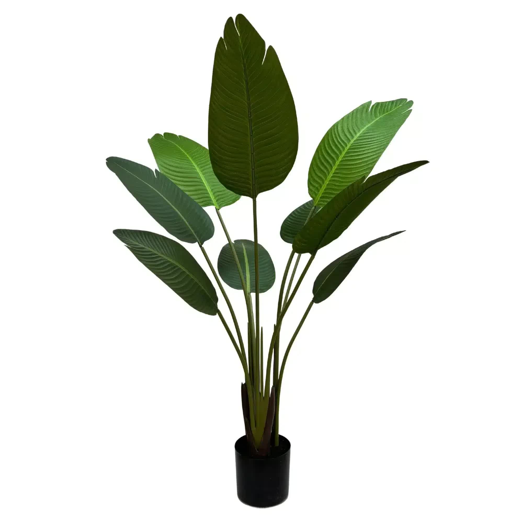 Grand Artificial Potted Travellers Palm (Banana Palm Tree) 120cm - Home & Garden > Artificial Plants > Artificial Trees - Rivercity House & Home Co. (ABN 18 642 972 209) - Affordable Modern Furniture Australia