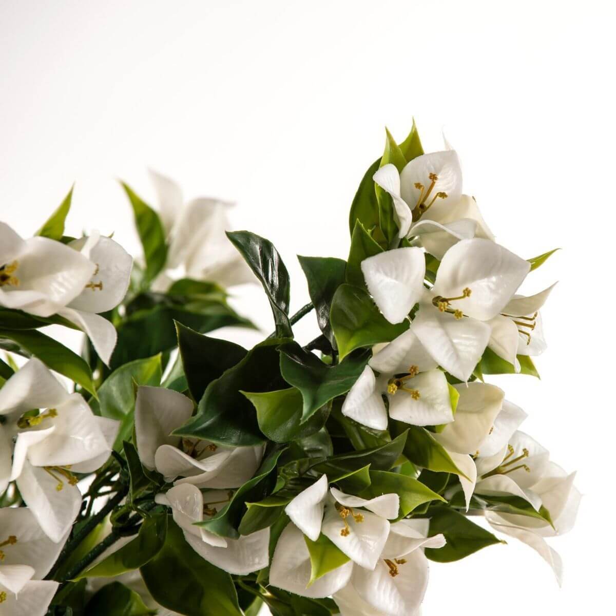 Hanging Artificial Bougainvillea Plant 90cm UV Resistant - White - Home & Garden > Artificial Plants > Artificial Hanging Plants - Rivercity House & Home Co. (ABN 18 642 972 209) - Affordable Modern Furniture Australia