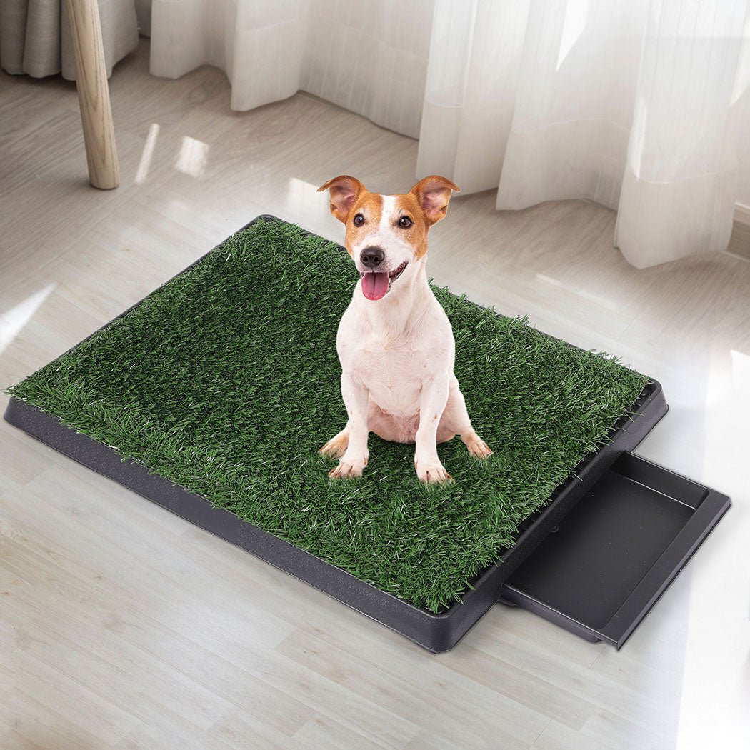 Indoor Dog Potty Training Grass Patch with Tray - Green and Black - Rivercity House & Home Co. (ABN 18 642 972 209) - Affordable Modern Furniture Australia