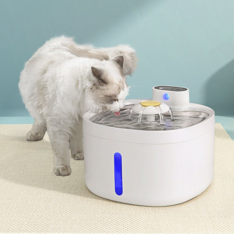 i.Pet Pet Water Fountain Dispenser Filter Dog Cat Drinking Automatic Electric 2.6L - Pet Care > Dog Supplies - Rivercity House & Home Co. (ABN 18 642 972 209) - Affordable Modern Furniture Australia