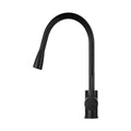 Kitchen Pull-Out Mixer Tap 2 Mode Sink Faucet with Swivel Spout - Black