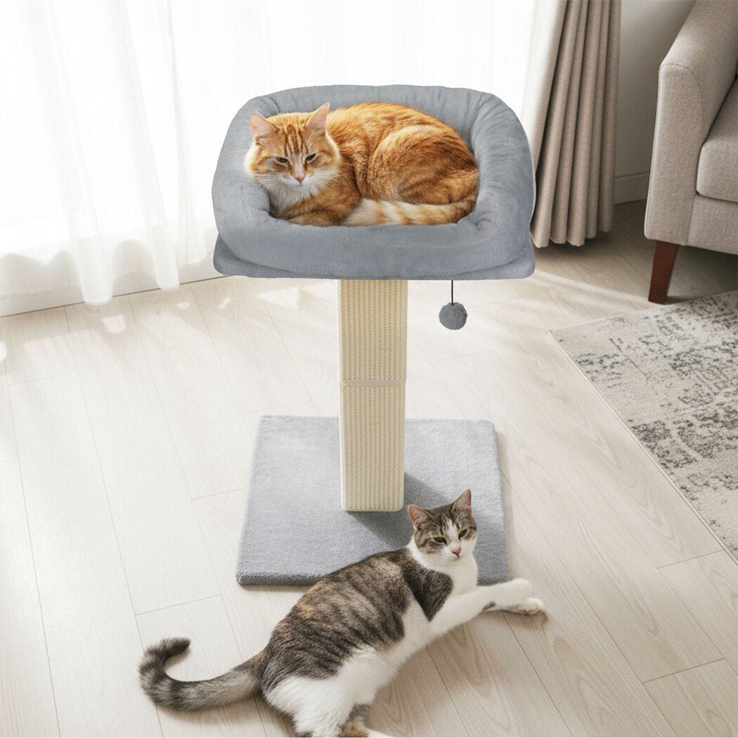 Large Cat Scratcher with Perch and Toy - Light Grey - Rivercity House & Home Co. (ABN 18 642 972 209) - Affordable Modern Furniture Australia