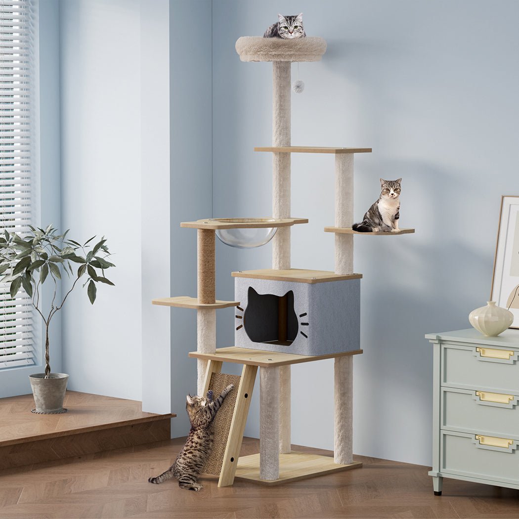 Large Cat Tree Tower 160cm with Scratcher Condo House - Beige - Rivercity House & Home Co. (ABN 18 642 972 209) - Affordable Modern Furniture Australia