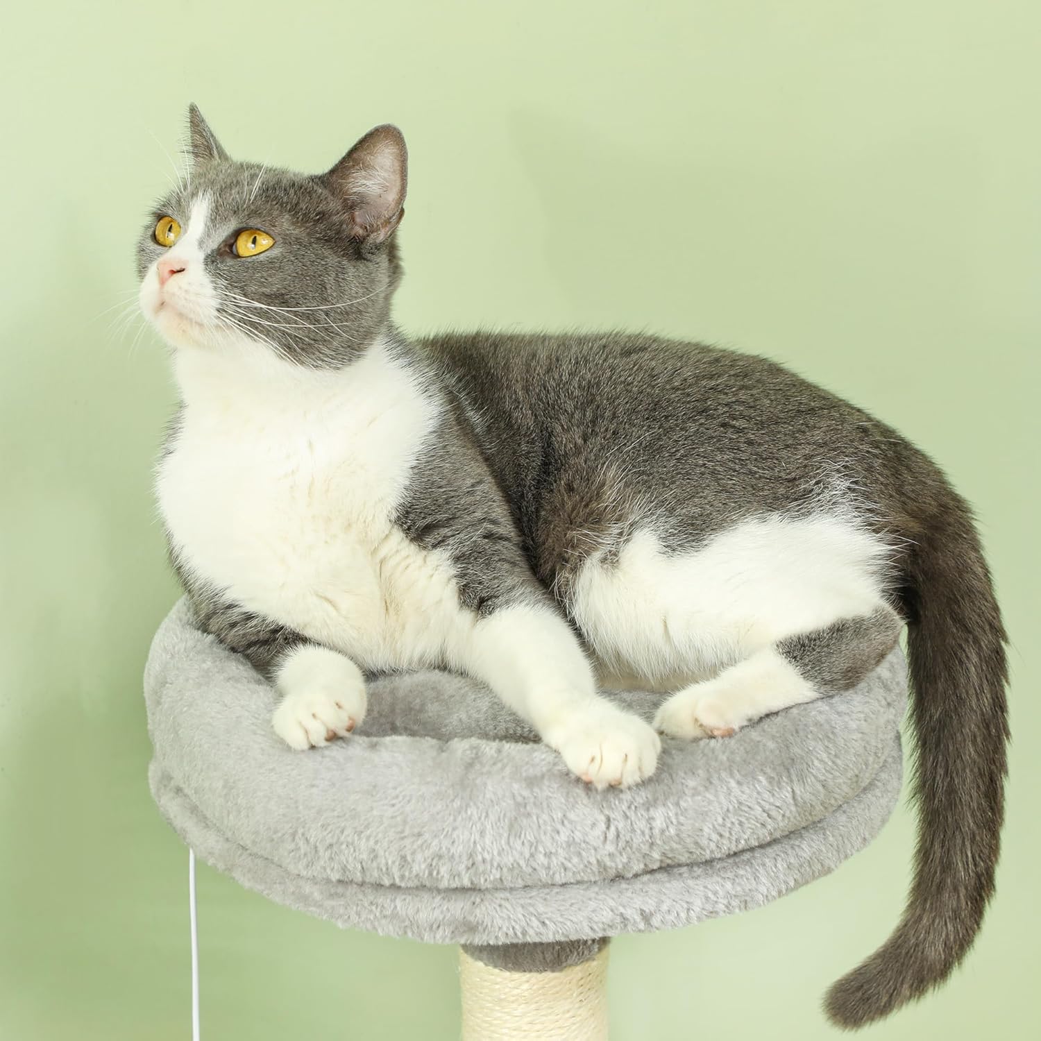 Large Indoor Cat Tree Tower with Plush Perch, Condo, Sisal Scratching Posts & Hanging Ball - Natural - Pet Care > Cat Supplies > Cat Scratching Posts - Rivercity House & Home Co. (ABN 18 642 972 209) - Affordable Modern Furniture Australia