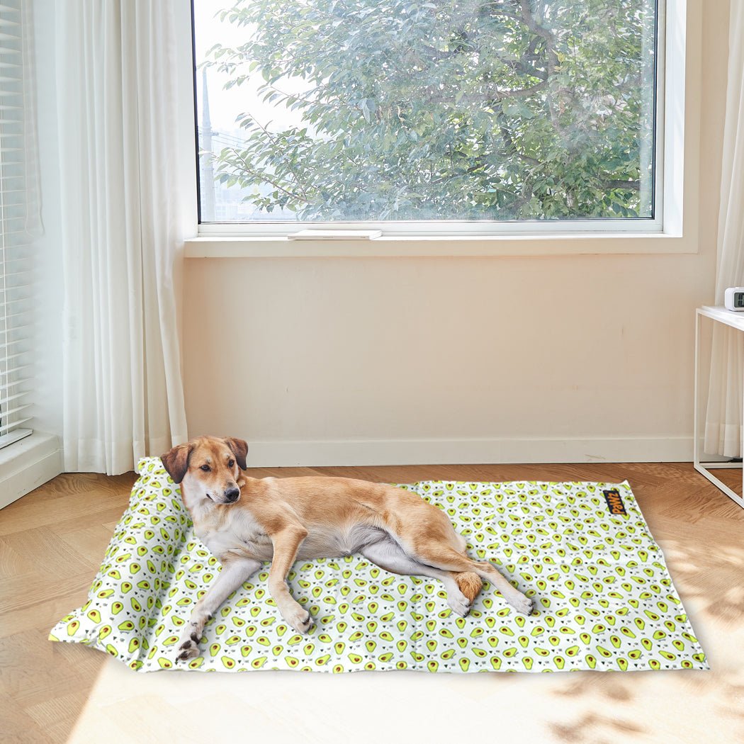 Large Pet Cooling Mat with Gel Pillow for Cats and Dogs - Blue - Rivercity House & Home Co. (ABN 18 642 972 209) - Affordable Modern Furniture Australia