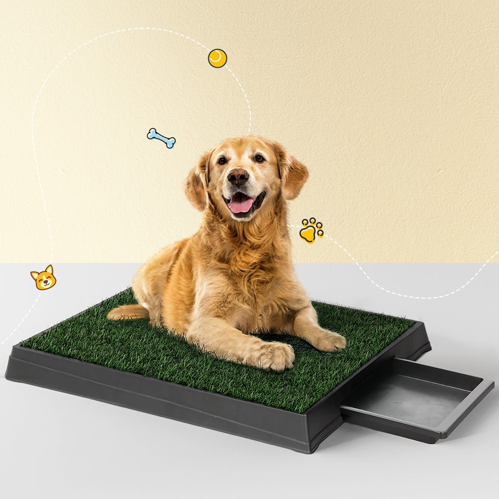 Large Portable Dog Training Potty Pad with Tray and Grass Mats - Black Green - Pet Care > Dog Supplies > Dog Training Aids - Rivercity House & Home Co. (ABN 18 642 972 209) - Affordable Modern Furniture Australia