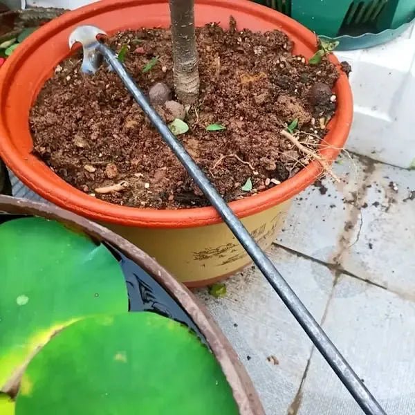 Long Manual Weeding Tool with High Carbon Steel Claw and Ergonomic Handle for Garden Beds, Yards, Lawns and Potted Plants - Black - Home & Garden > Garden Tools > Gardening Tools - Rivercity House & Home Co. (ABN 18 642 972 209) - Affordable Modern Furniture Australia