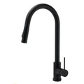 Round Pull Out Kitchen Sink Mixer Tap 2 Way Spout - Matte Black