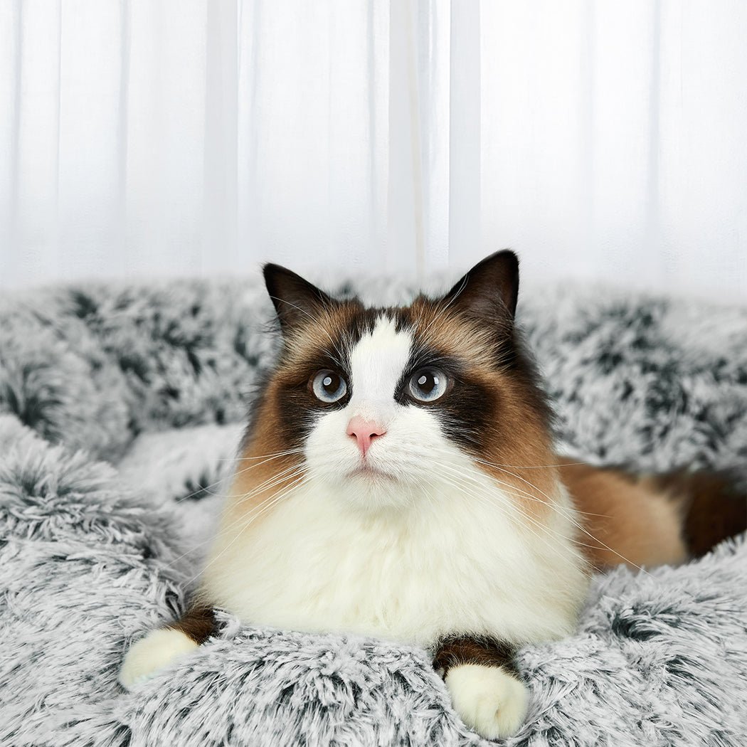 Medium Memory Foam Donut Pet Bed - Charcoal - Rivercity House & Home Co. (ABN 18 642 972 209) - Affordable Modern Furniture Australia