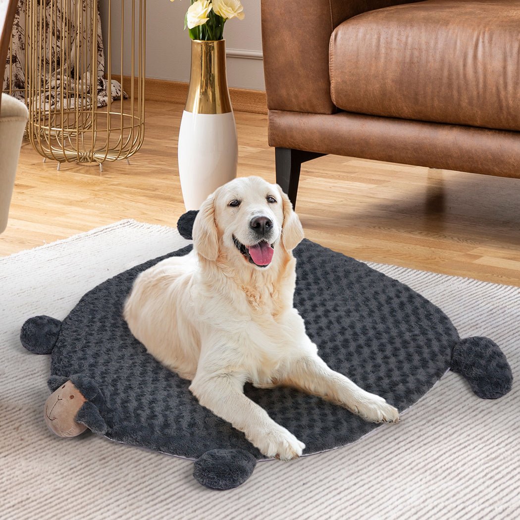 Medium Pet Calming Bed with Squeaky Toys - Charcoal - Rivercity House & Home Co. (ABN 18 642 972 209) - Affordable Modern Furniture Australia