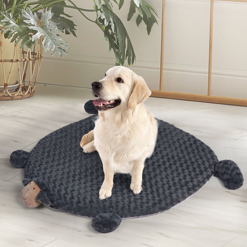 Medium Pet Calming Bed with Squeaky Toys - Charcoal - Rivercity House & Home Co. (ABN 18 642 972 209) - Affordable Modern Furniture Australia