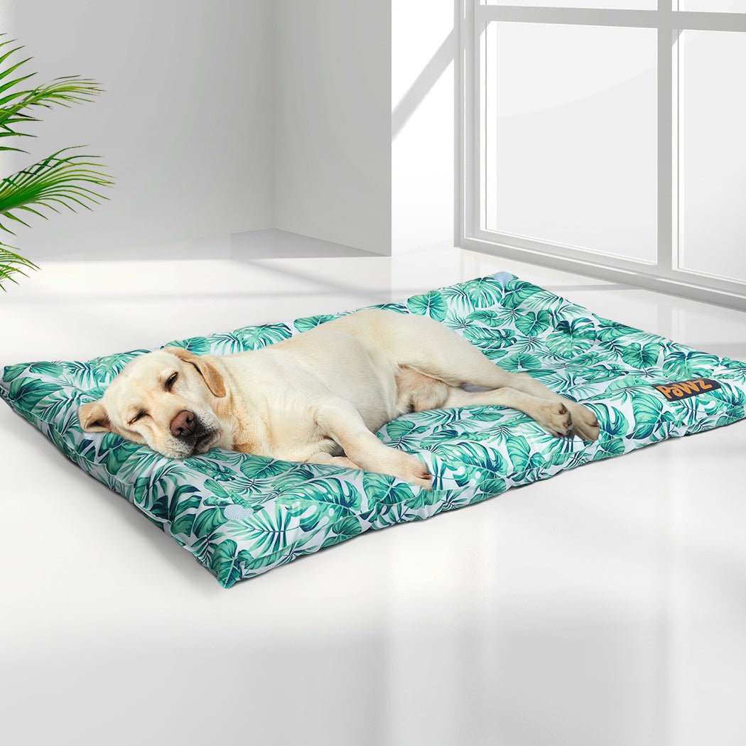 Medium Pet Cooling Gel Mat with Bolster for Cats and Dogs - Blue - Rivercity House & Home Co. (ABN 18 642 972 209) - Affordable Modern Furniture Australia