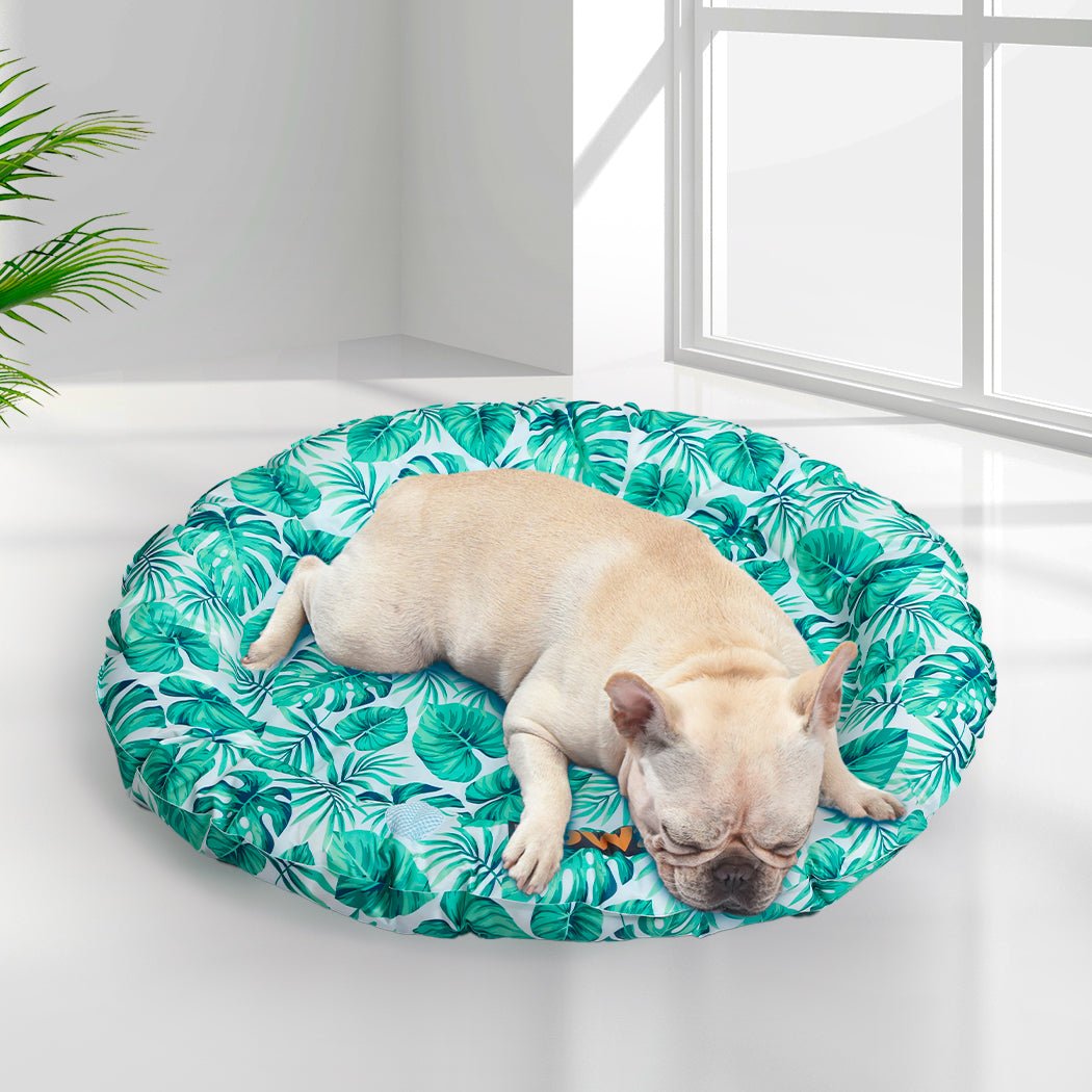 Medium Pet Cooling Gel Mat with Dog Bolster - Blue - Rivercity House & Home Co. (ABN 18 642 972 209) - Affordable Modern Furniture Australia