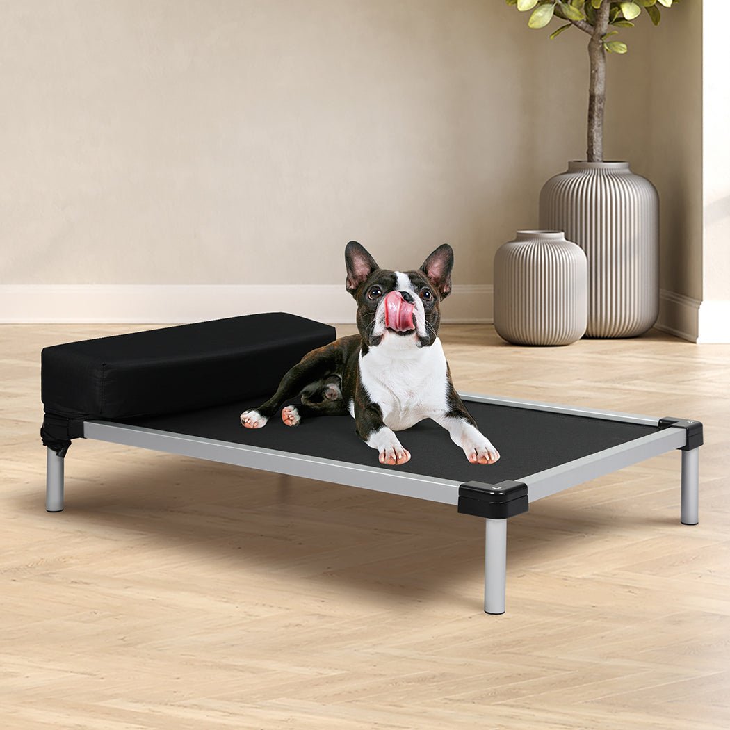 Medium Pet Trampoline with Aluminium Frame - Black - Rivercity House & Home Co. (ABN 18 642 972 209) - Affordable Modern Furniture Australia